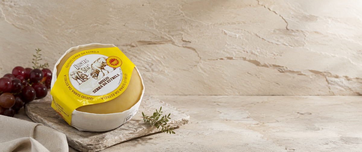 Queijo Regional com Sabor a Tradição